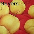 TerriMeyers